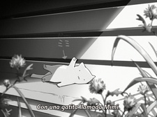 Kanojo to Kanojo no Neko